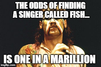 THE ODDS OF FINDING A SINGER CALLED FISH... IS ONE IN A MARILLION | image tagged in fish | made w/ Imgflip meme maker