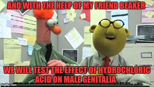 muppets  | AND WITH THE HELP OF MY FRIEND BEAKER; WE WILL TEST THE EFFECT OF HYDROCHLORIC ACID ON MALE GENITALIA | image tagged in muppets | made w/ Imgflip meme maker