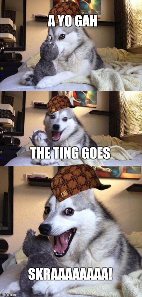 Bad Pun Dog Meme | A YO GAH; THE TING GOES; SKRAAAAAAAA! | image tagged in memes,bad pun dog,scumbag | made w/ Imgflip meme maker