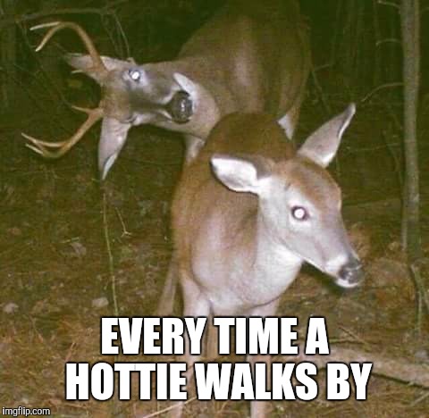 She Hot Doe!  | EVERY TIME A HOTTIE WALKS BY | image tagged in deer,hottie,deer in headlights | made w/ Imgflip meme maker