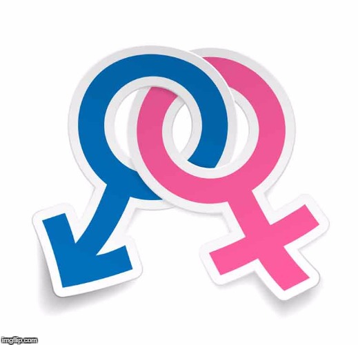 Will Changing Gender Roles Affect Marketing?
 | image tagged in first name gender,gender marketing,gender segmentation,first name by gender | made w/ Imgflip meme maker