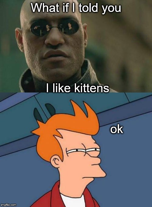 What If I Told You | What if I told you; I like kittens; ok | image tagged in what if i told you,matrix morpheus,futurama fry | made w/ Imgflip meme maker