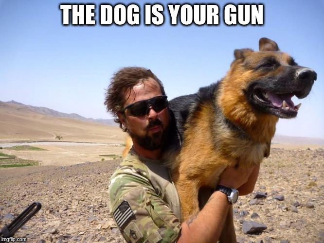 THE DOG IS YOUR GUN | made w/ Imgflip meme maker