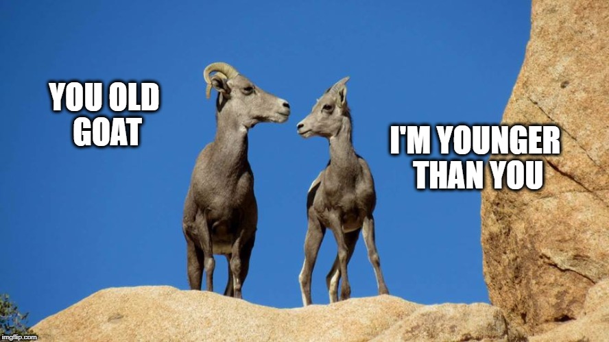 YOU OLD GOAT; I'M YOUNGER THAN YOU | image tagged in goats,sheep,age | made w/ Imgflip meme maker