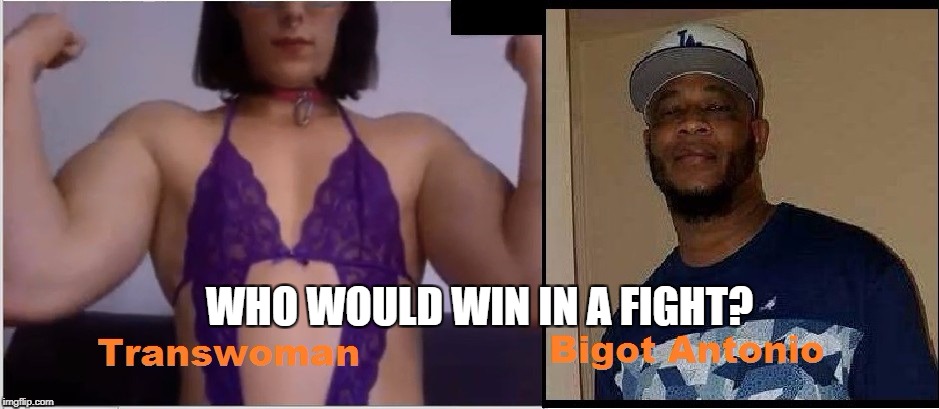 Transwoman vs Bigot | WHO WOULD WIN IN A FIGHT? | image tagged in transgender | made w/ Imgflip meme maker