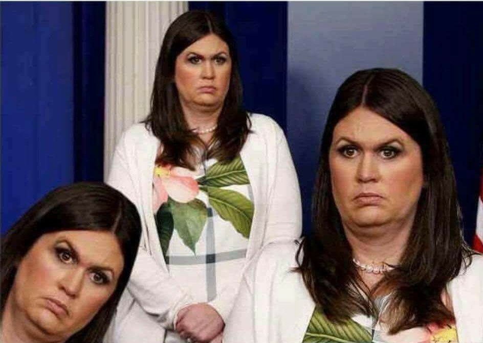 High Quality Sarah Huckabee Sanders Blank Meme Template