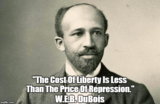 "The Cost Of Liberty Is Less Than The Price Of Repression." W.E.B. DuBois | made w/ Imgflip meme maker