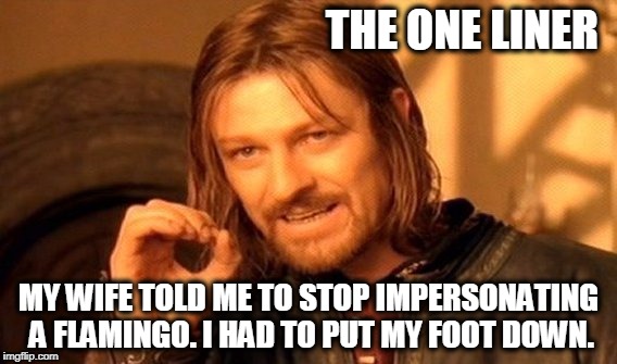 One Does Not Simply Meme | THE ONE LINER; MY WIFE TOLD ME TO STOP IMPERSONATING A FLAMINGO. I HAD TO PUT MY FOOT DOWN. | image tagged in memes,one does not simply | made w/ Imgflip meme maker