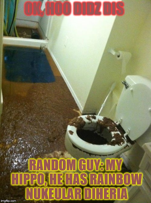 poop | OK, HOO DIDZ DIS; RANDOM GUY: MY HIPPO, HE HAS RAINBOW NUKEULAR DIHERIA | image tagged in poop | made w/ Imgflip meme maker