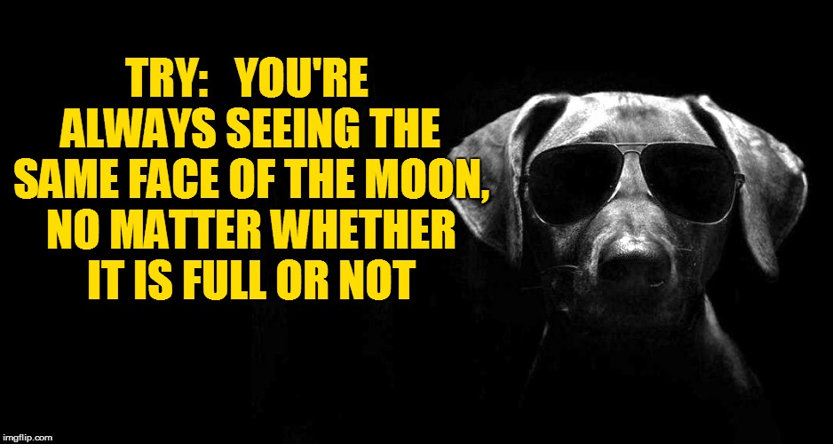 TRY: 

YOU'RE ALWAYS SEEING THE SAME FACE OF THE MOON, NO MATTER WHETHER IT IS FULL OR NOT | made w/ Imgflip meme maker