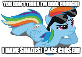 'Nuff said! | YOU DON'T THINK I'M COOL ENOUGH! I HAVE SHADES! CASE CLOSED! | image tagged in memes,my little pony,rainbow dash,cool,sunglasses | made w/ Imgflip meme maker