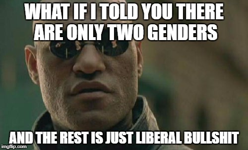 Matrix Morpheus | WHAT IF I TOLD YOU THERE ARE ONLY TWO GENDERS; AND THE REST IS JUST LIBERAL BULLSHIT | image tagged in memes,matrix morpheus | made w/ Imgflip meme maker