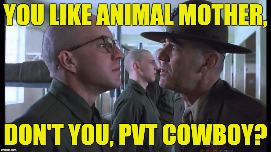 full metal jacket | YOU LIKE ANIMAL MOTHER, DON'T YOU, PVT COWBOY? | image tagged in full metal jacket | made w/ Imgflip meme maker