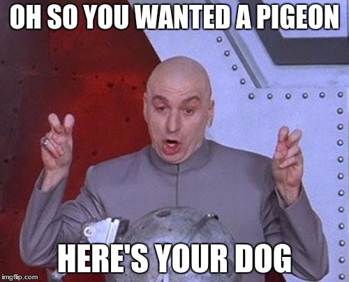 Dr Evil Laser | OH SO YOU WANTED A PIGEON; HERE'S YOUR DOG | image tagged in memes,dr evil laser | made w/ Imgflip meme maker