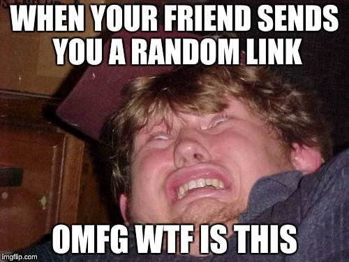 WTF | WHEN YOUR FRIEND SENDS YOU A RANDOM LINK; OMFG WTF IS THIS | image tagged in memes,wtf | made w/ Imgflip meme maker