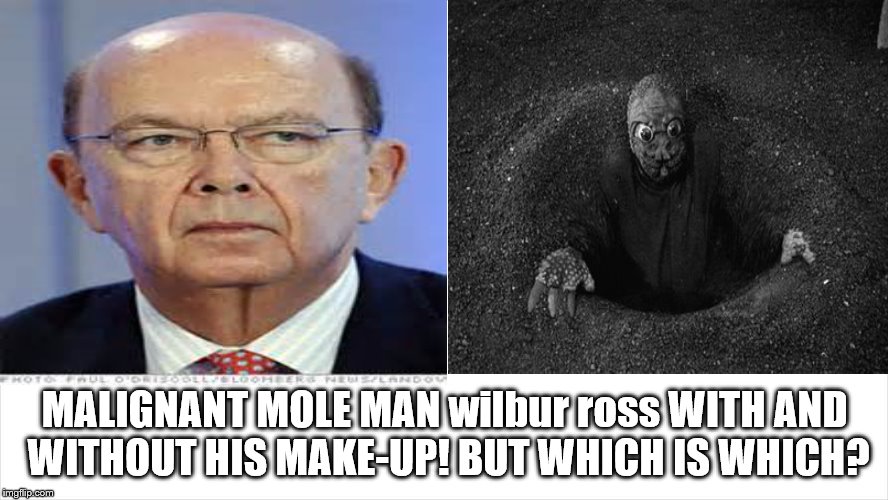 next on the Mueller Investigation Hit List: Malignant Mole Man wilbur ross! Mueller Has Come! | MALIGNANT MOLE MAN wilbur ross WITH AND WITHOUT HIS MAKE-UP! BUT WHICH IS WHICH? | image tagged in mole man wilbur ross,scumbag republicans,mueller time,trump russia collusion,trump administration traitors to america | made w/ Imgflip meme maker