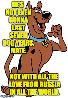 Will Trump last another seven years? | HE'S NOT EVEN GONNA LAST SEVEN DOG YEARS, MATE. NOT WITH ALL THE LOVE FROM RUSSIA IN ALL THE WORLD. | image tagged in memes,trump,scooby doo | made w/ Imgflip meme maker