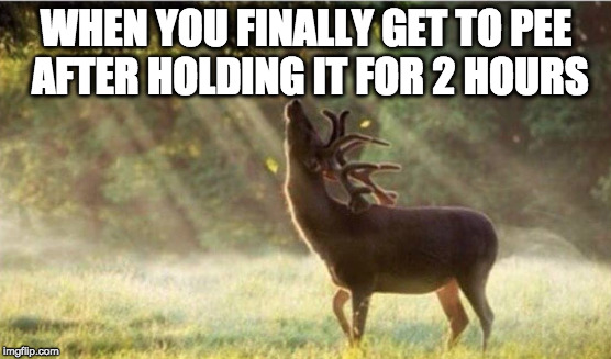 What a feeling!! | WHEN YOU FINALLY GET TO PEE AFTER HOLDING IT FOR 2 HOURS | image tagged in pee,iwanttobebacon,holding | made w/ Imgflip meme maker