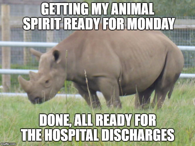 GETTING MY ANIMAL SPIRIT READY FOR MONDAY; DONE, ALL READY FOR THE HOSPITAL DISCHARGES | image tagged in back in my day | made w/ Imgflip meme maker