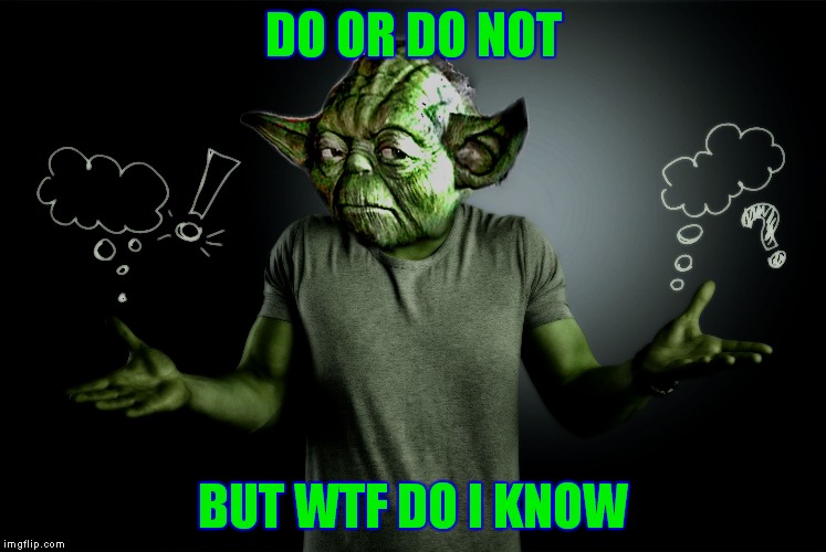 yoda shrug | DO OR DO NOT BUT WTF DO I KNOW | image tagged in yoda shrug | made w/ Imgflip meme maker