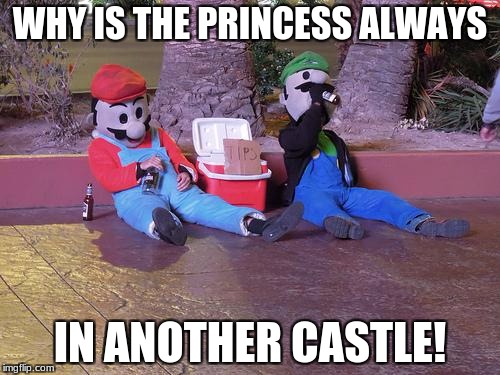 mario and luigi drunk | WHY IS THE PRINCESS ALWAYS; IN ANOTHER CASTLE! | image tagged in mario and luigi drunk | made w/ Imgflip meme maker