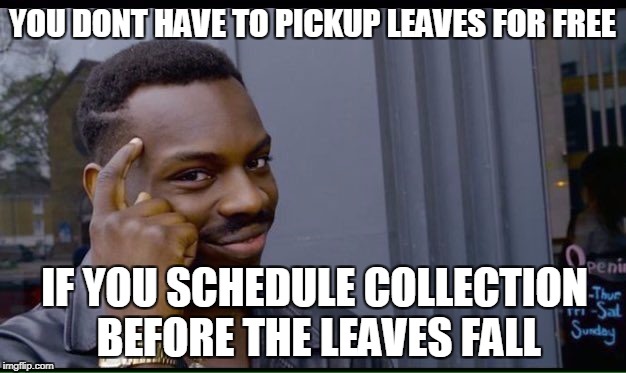Roll Safe Think About It Meme | YOU DONT HAVE TO PICKUP LEAVES FOR FREE; IF YOU SCHEDULE COLLECTION BEFORE THE LEAVES FALL | image tagged in thinking black guy | made w/ Imgflip meme maker