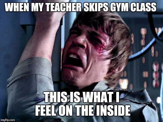 Luke Crying | WHEN MY TEACHER SKIPS GYM CLASS; THIS IS WHAT I FEEL ON THE INSIDE | image tagged in luke crying | made w/ Imgflip meme maker