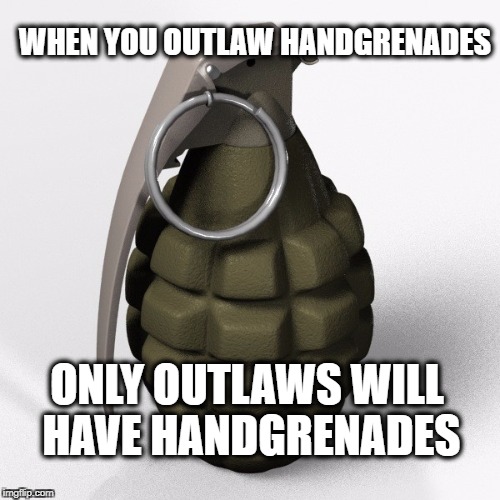 Grenade | WHEN YOU OUTLAW HANDGRENADES; ONLY OUTLAWS WILL HAVE HANDGRENADES | image tagged in grenade | made w/ Imgflip meme maker