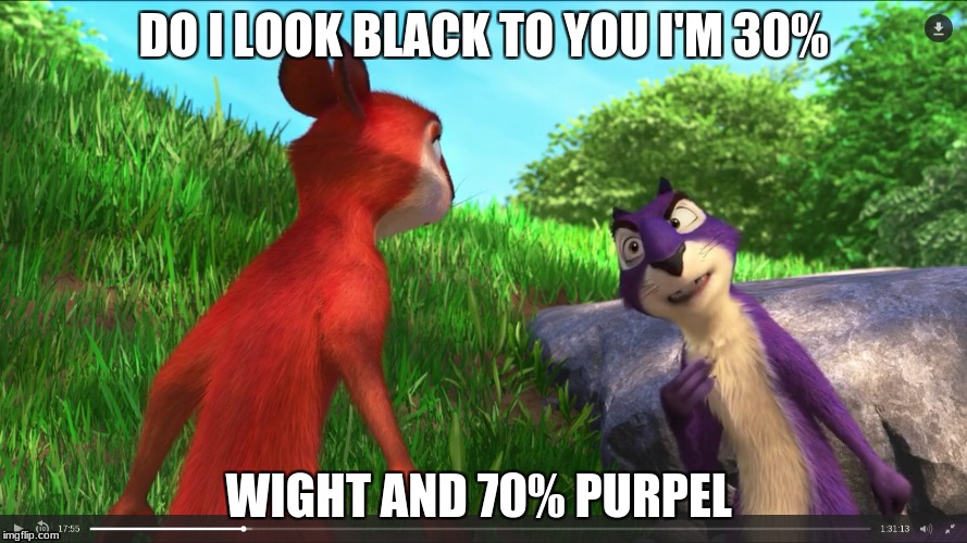 nut job 2 | DO I LOOK BLACK TO YOU I'M 30%; WIGHT AND 70% PURPEL | image tagged in nut job 2 | made w/ Imgflip meme maker