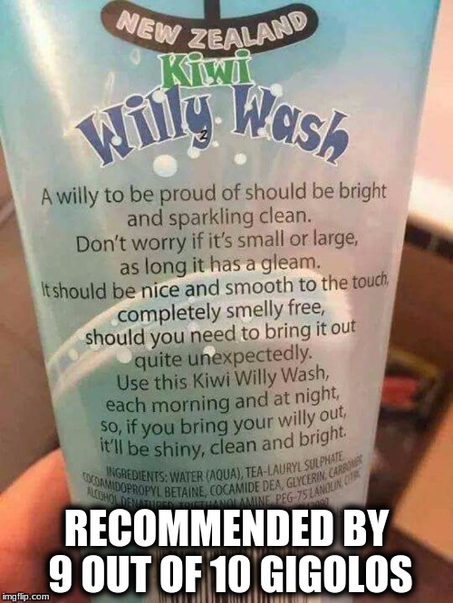 Never Leave Home Without It! | RECOMMENDED BY 9 OUT OF 10 GIGOLOS | image tagged in memes,willy wash | made w/ Imgflip meme maker