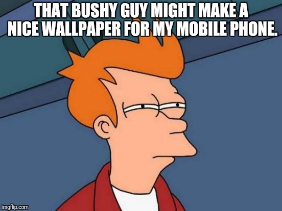 Futurama Fry Meme | THAT BUSHY GUY MIGHT MAKE A NICE WALLPAPER FOR MY MOBILE PHONE. | image tagged in memes,futurama fry | made w/ Imgflip meme maker