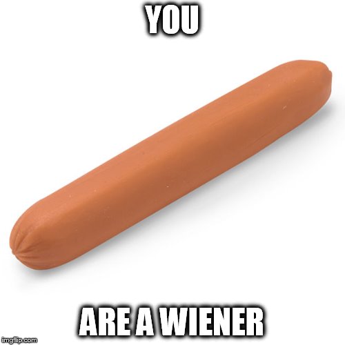 You are a wiener | YOU; ARE A WIENER | image tagged in wiener | made w/ Imgflip meme maker