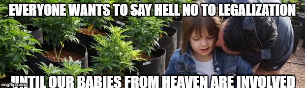 EVERYONE WANTS TO SAY HELL NO TO LEGALIZATION; UNTIL OUR BABIES FROM HEAVEN ARE INVOLVED | image tagged in charlottes web marijuana | made w/ Imgflip meme maker