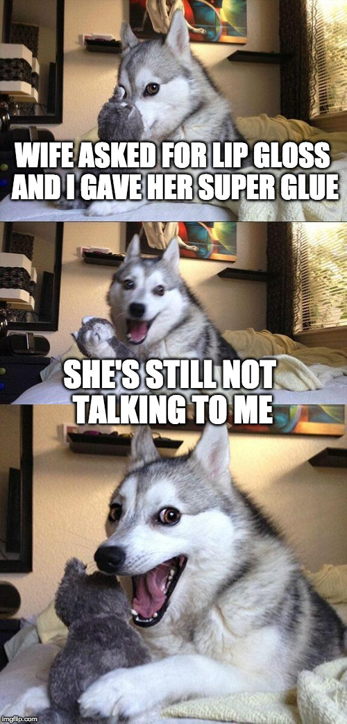 Life hack | WIFE ASKED FOR LIP GLOSS AND I GAVE HER SUPER GLUE; SHE'S STILL NOT TALKING TO ME | image tagged in memes,bad pun dog,super glue,wife,married | made w/ Imgflip meme maker