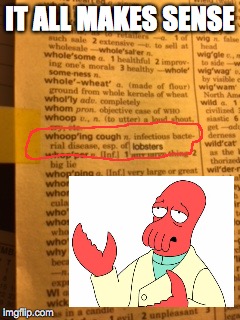 IT ALL MAKES SENSE | image tagged in zoidberg dank | made w/ Imgflip meme maker