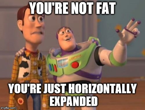 political correctness | YOU'RE NOT FAT; YOU'RE JUST HORIZONTALLY EXPANDED | image tagged in memes,x x everywhere | made w/ Imgflip meme maker