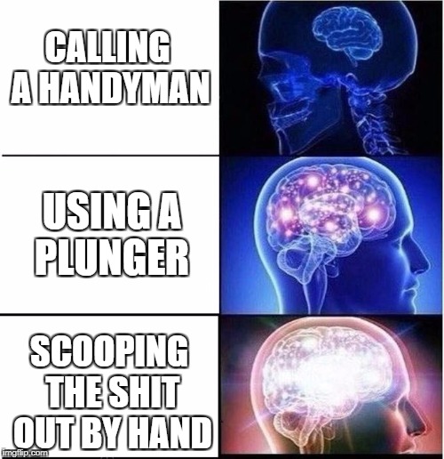 Unclogging a Toilet | CALLING A HANDYMAN; USING A PLUNGER; SCOOPING THE SHIT OUT BY HAND | image tagged in expanding brain,toilet,shit | made w/ Imgflip meme maker