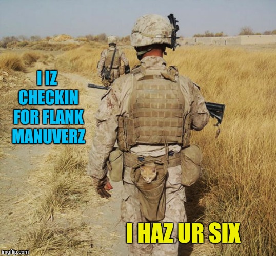 The deadliest weapons are the ones you can't see and the ones you least expect. Military week Nov 5-11  | I IZ CHECKIN FOR FLANK MANUVERZ; I HAZ UR SIX | image tagged in memes,cats,military week,funny,deadly weapons | made w/ Imgflip meme maker