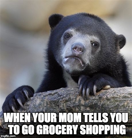 Confession Bear Meme | WHEN YOUR MOM TELLS YOU TO GO GROCERY SHOPPING | image tagged in memes,confession bear | made w/ Imgflip meme maker