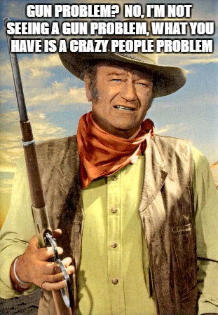 john wayne | GUN PROBLEM?  NO, I'M NOT SEEING A GUN PROBLEM, WHAT YOU  HAVE IS A CRAZY PEOPLE PROBLEM | image tagged in john wayne | made w/ Imgflip meme maker