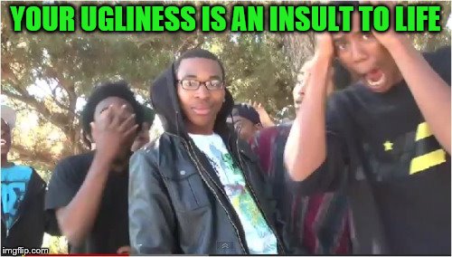 YOUR UGLINESS IS AN INSULT TO LIFE | made w/ Imgflip meme maker