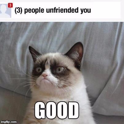 unfriend me and i'm happy, friend me and i am even more grumpy | image tagged in grumpy cat,twitter,unfriend me | made w/ Imgflip meme maker