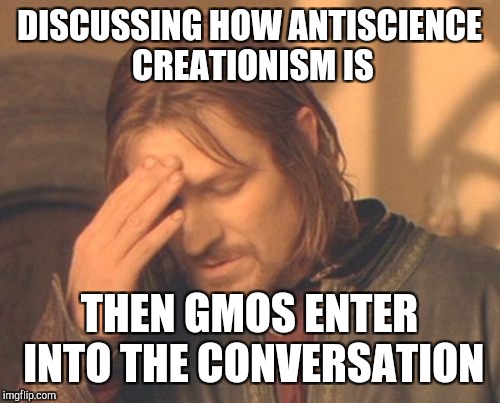 Frustrated Boromir Meme | DISCUSSING HOW ANTISCIENCE CREATIONISM IS; THEN GMOS ENTER INTO THE CONVERSATION | image tagged in memes,frustrated boromir | made w/ Imgflip meme maker