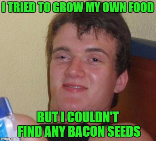 10 Guy Meme | I TRIED TO GROW MY OWN FOOD BUT I COULDN'T FIND ANY BACON SEEDS | image tagged in memes,10 guy | made w/ Imgflip meme maker