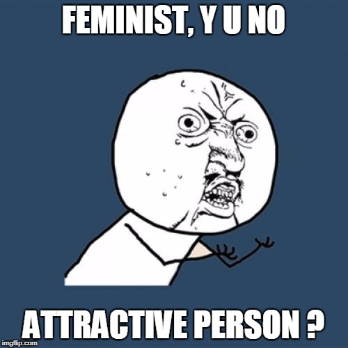 Y U No Meme | FEMINIST, Y U NO ATTRACTIVE PERSON ? | image tagged in memes,y u no | made w/ Imgflip meme maker