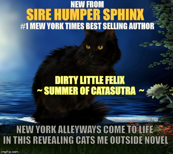 A Must Read | NEW FROM; SIRE HUMPER SPHINX; #1 MEW YORK TIMES BEST SELLING AUTHOR; DIRTY LITTLE FELIX  ~ SUMMER OF CATASUTRA  ~; NEW YORK ALLEYWAYS COME TO LIFE IN THIS REVEALING CATS ME OUTSIDE NOVEL | image tagged in memes,cats,animals,stupid,books | made w/ Imgflip meme maker