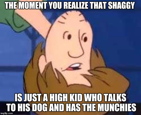 Inverted Shaggy | THE MOMENT YOU REALIZE THAT SHAGGY; IS JUST A HIGH KID WHO TALKS TO HIS DOG AND HAS THE MUNCHIES | image tagged in inverted shaggy | made w/ Imgflip meme maker
