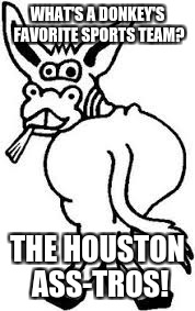 Reasonable Sports Joke | WHAT'S A DONKEY'S FAVORITE SPORTS TEAM? THE HOUSTON ASS-TROS! | image tagged in memes,donkey,houston astros | made w/ Imgflip meme maker