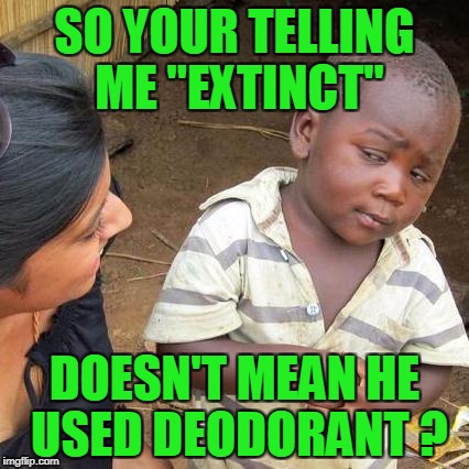 Third World Skeptical Kid Meme | SO YOUR TELLING ME "EXTINCT" DOESN'T MEAN HE USED DEODORANT ? | image tagged in memes,third world skeptical kid | made w/ Imgflip meme maker