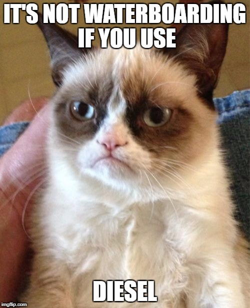 Grumpy Cat Meme | IT'S NOT WATERBOARDING IF YOU USE; DIESEL | image tagged in memes,grumpy cat | made w/ Imgflip meme maker